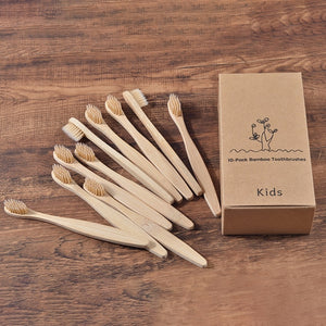 co Friendly wooden Tooth Brush