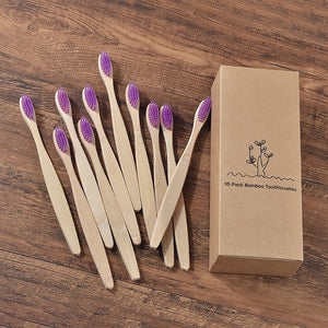 co Friendly wooden Tooth Brush