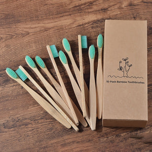 co Friendly wooden Tooth Brush